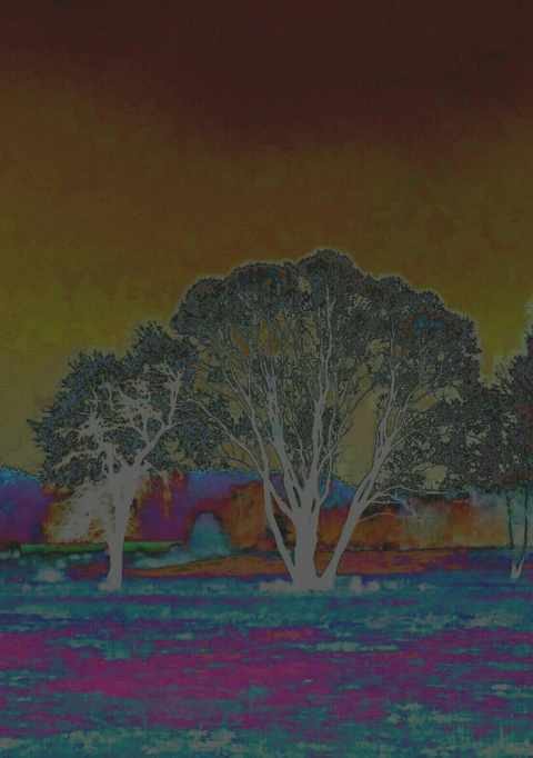 not just trees