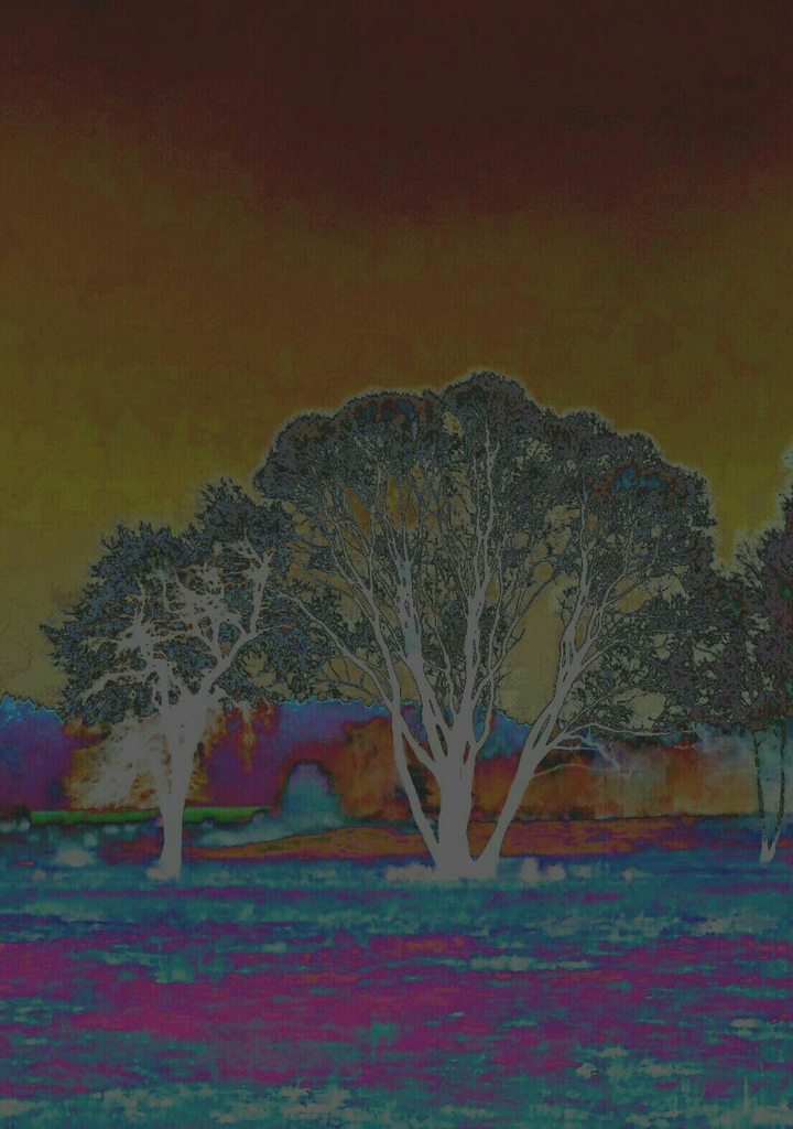 not just trees