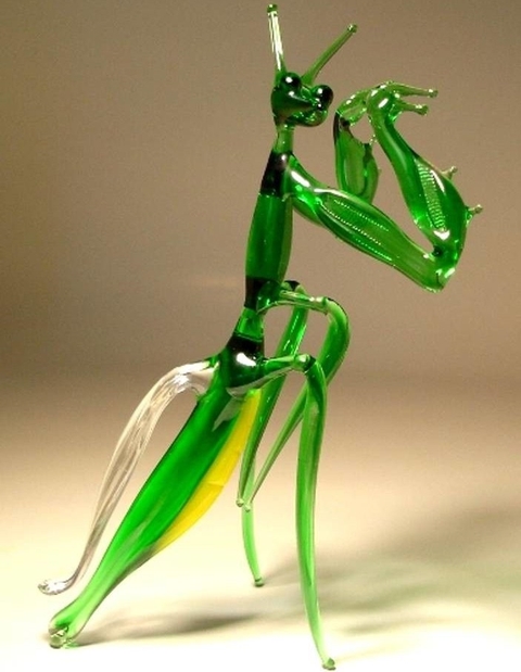 cricket, grasshopper achtergronden