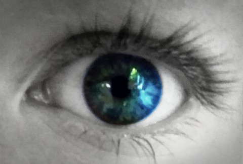 Meyes