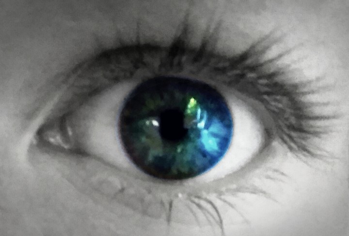 Meyes