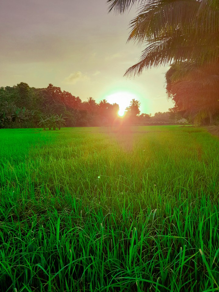 village