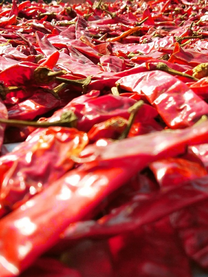 redchillies