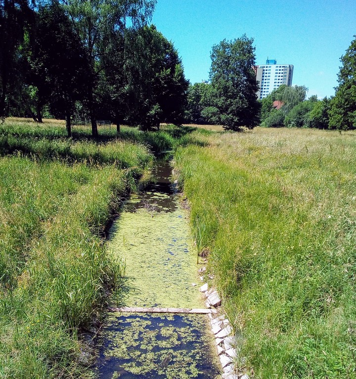 Berlin Lübars
