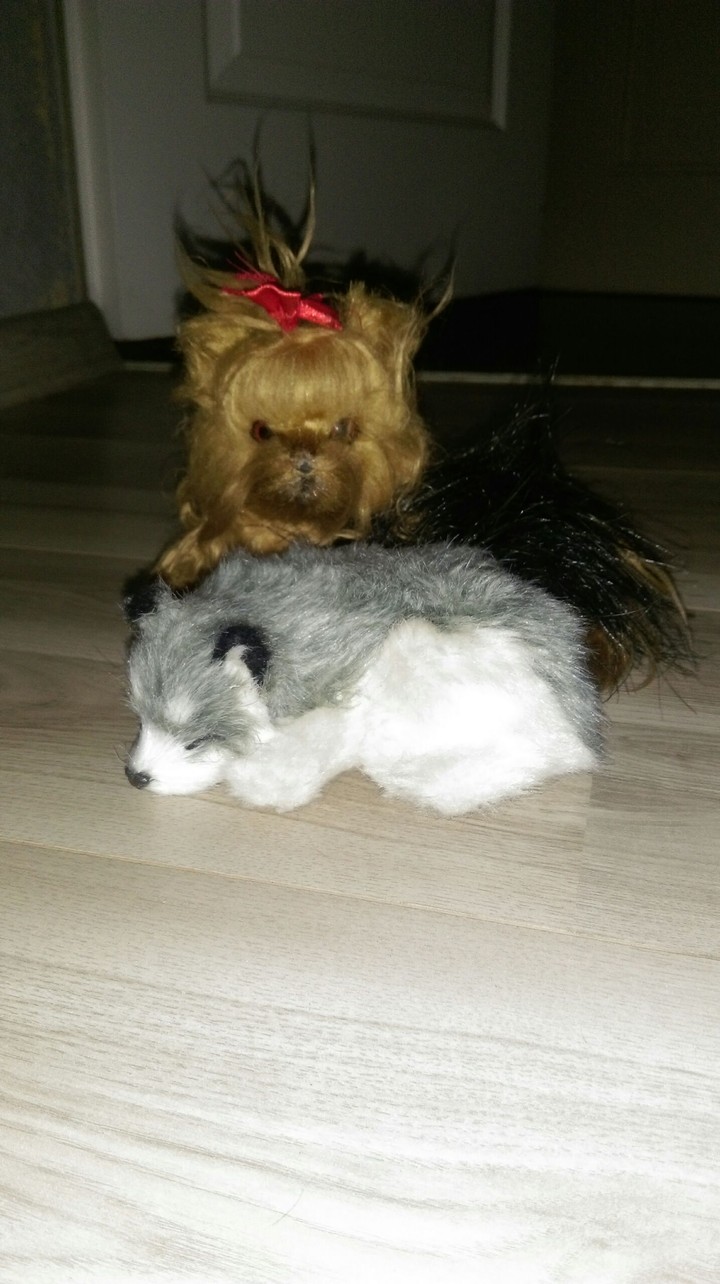 słit i słit