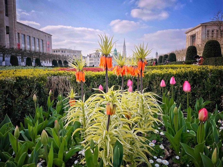 Spring time