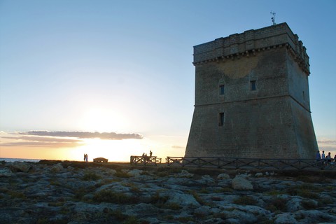 tower Pt. 2