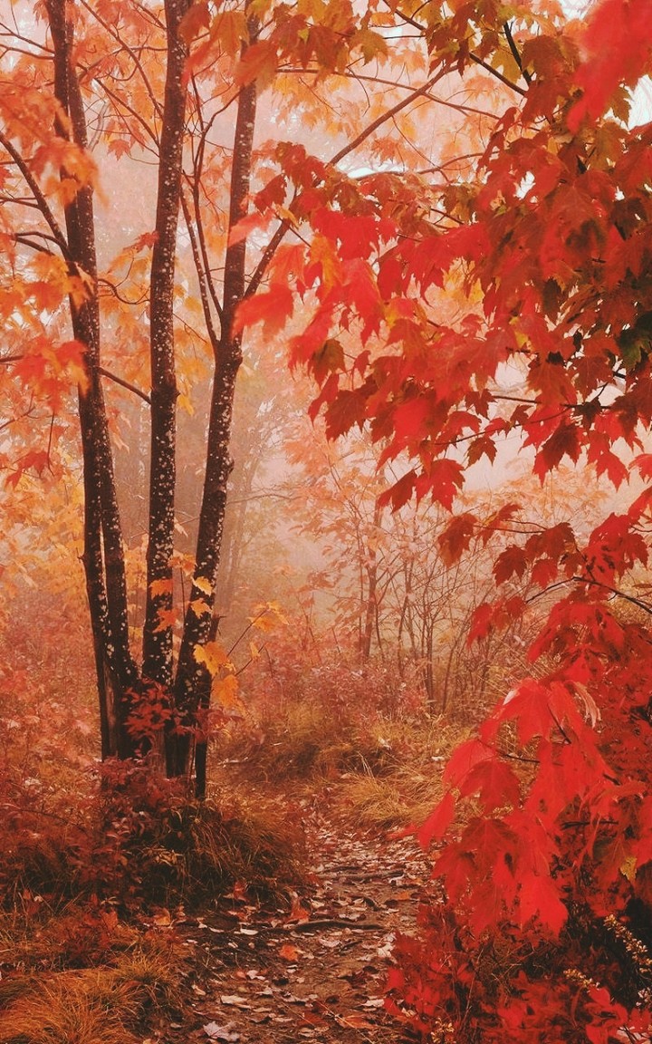 Autumn