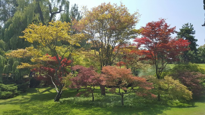 From Parco Sigurtà, Italy.