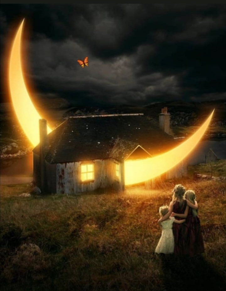 Night