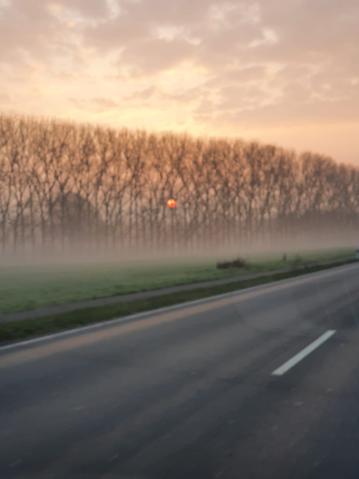 Roadtrip