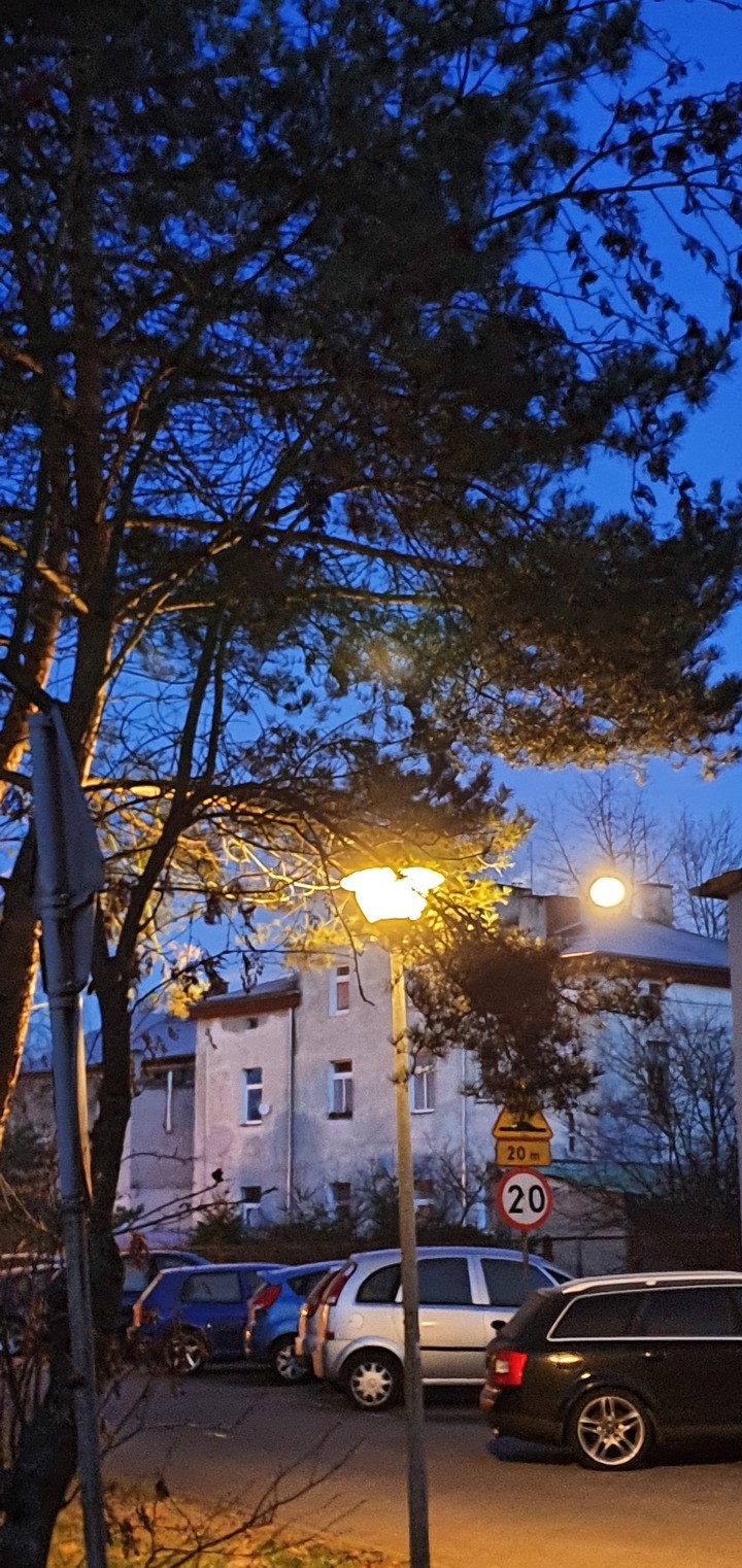 Księżyc o poranku