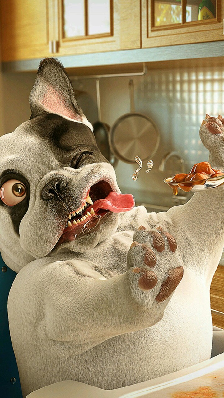 Funny moments