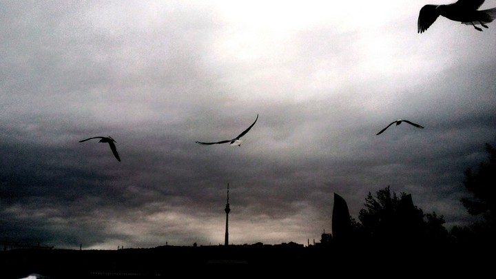 evening