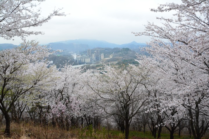 풍경이미지