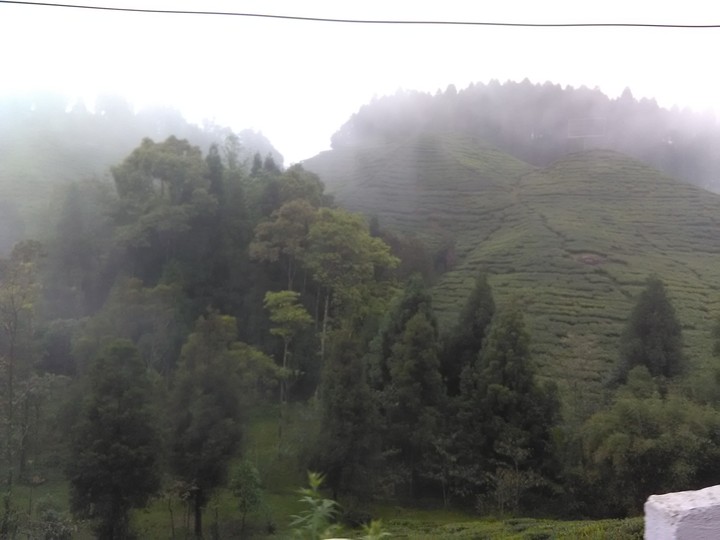 Darjeeling