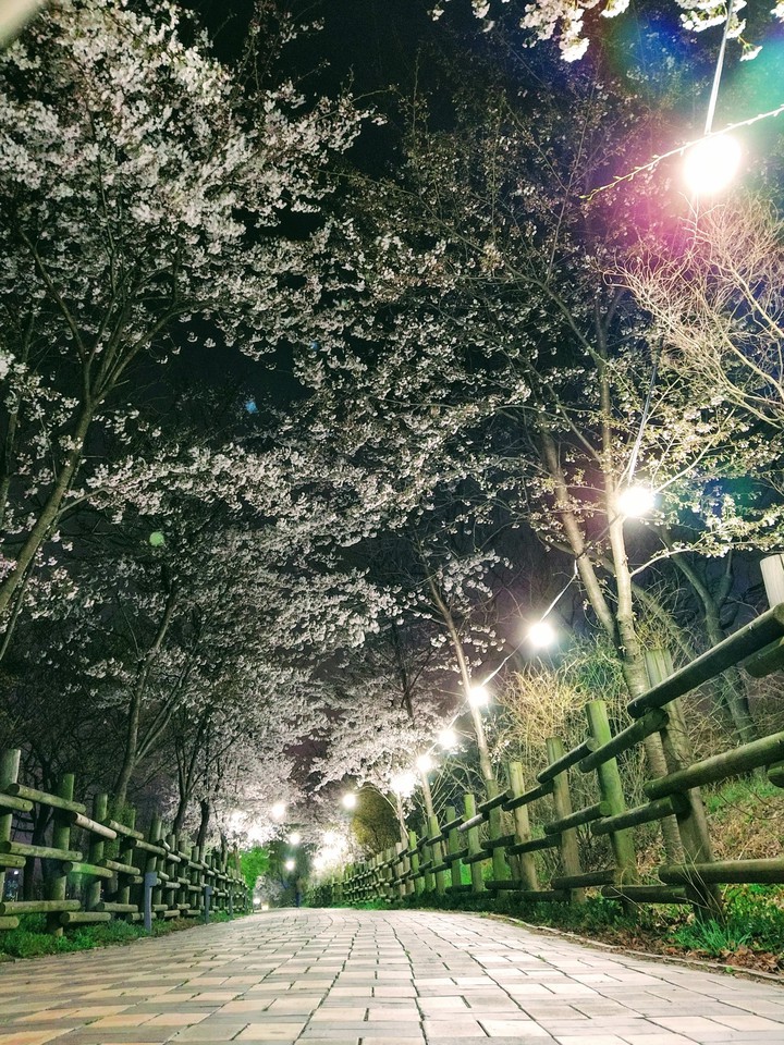 하늘공원