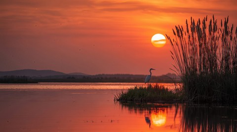 sunset, afterglow wallpapers