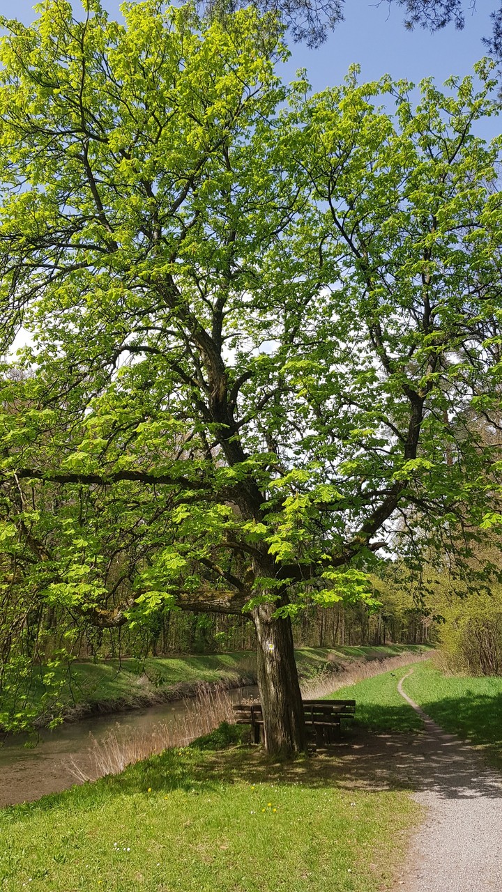 just nature
