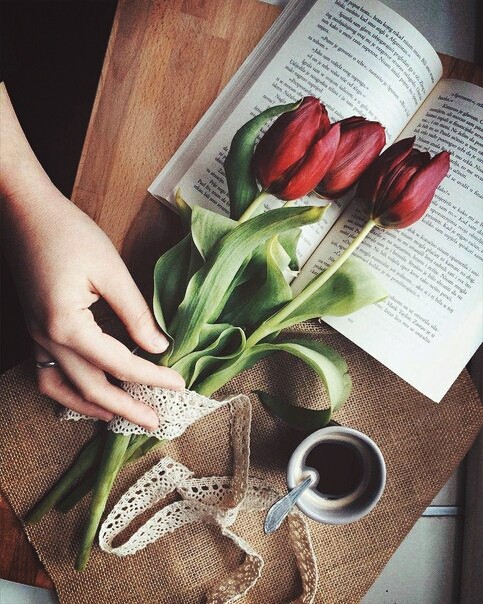 #фото#книга #классика #цветы