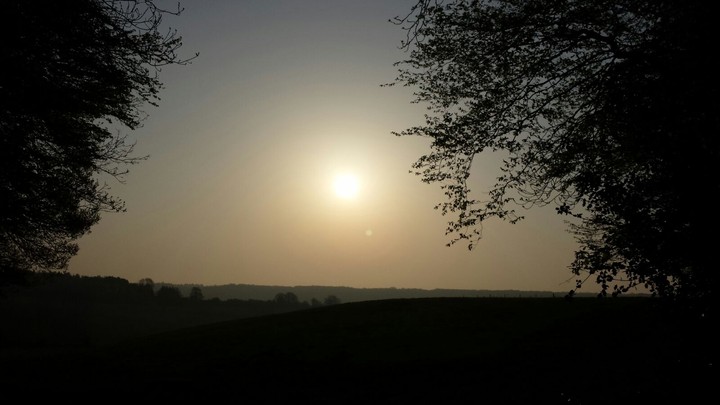 Just an evening walk