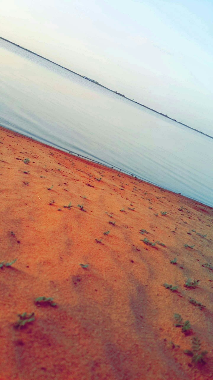 water in desert