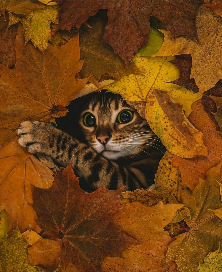 ^^)