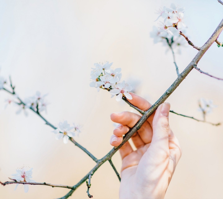 spring...