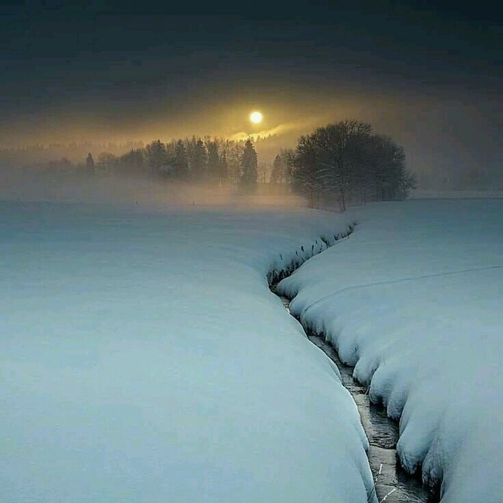Cold