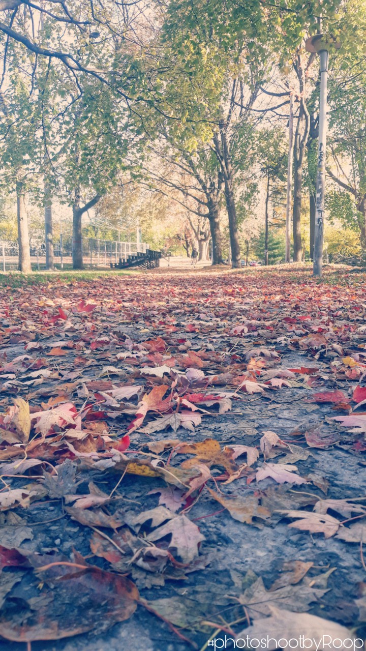 Autumn is here.