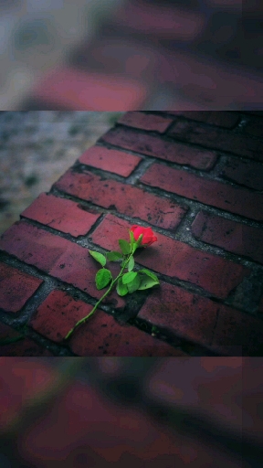I was there to dry her tears... when someone...