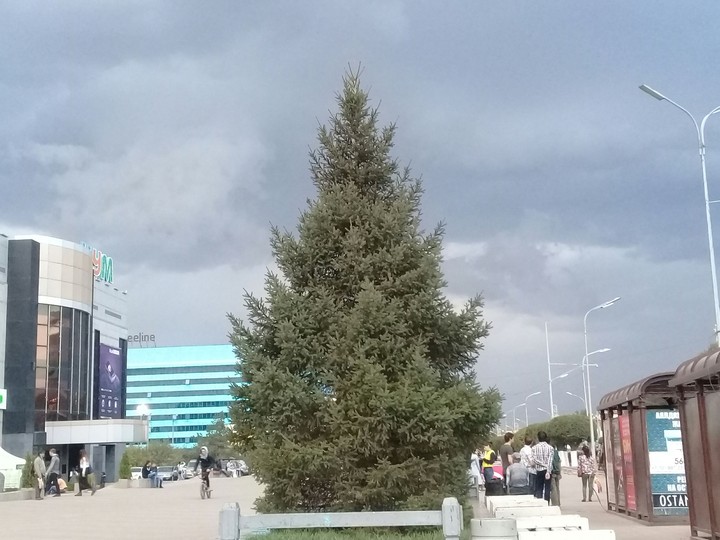 Погода
