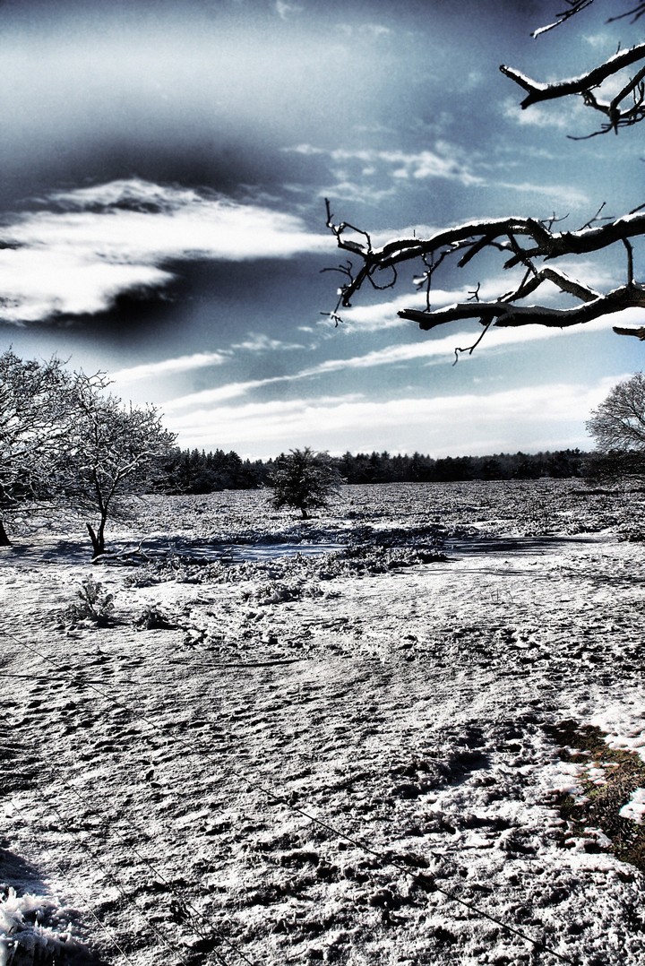 snow world
