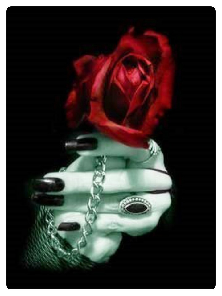 rose