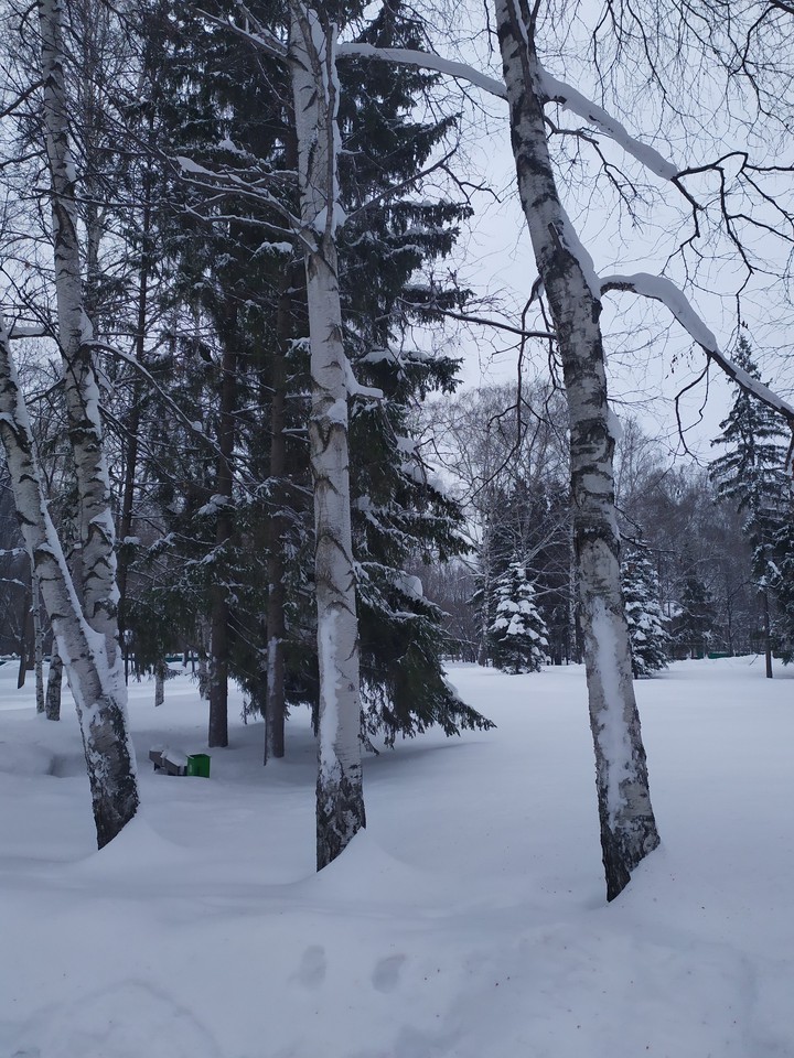 зима