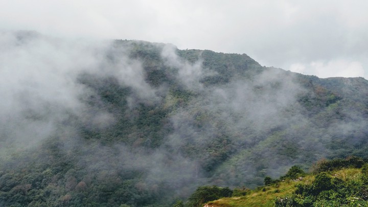 life above the clouds