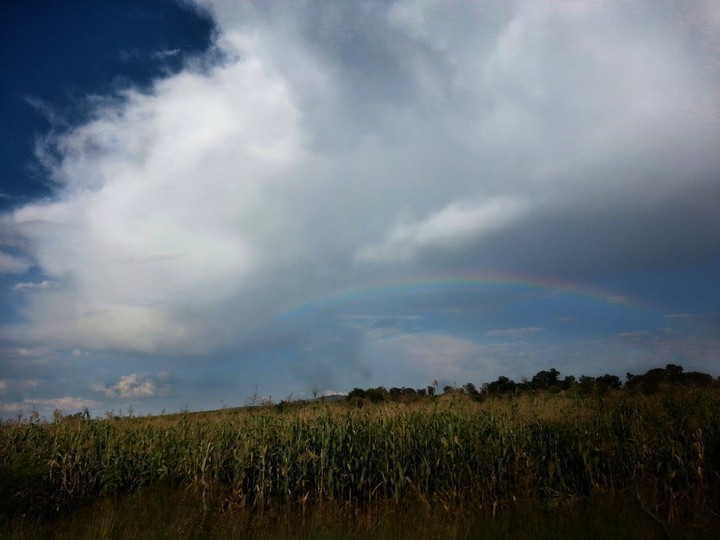 Milpa y arcoiris