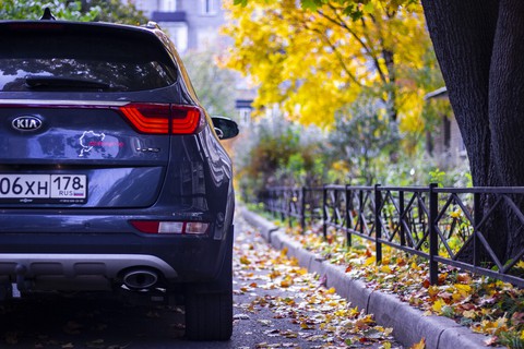 sportage at autumn