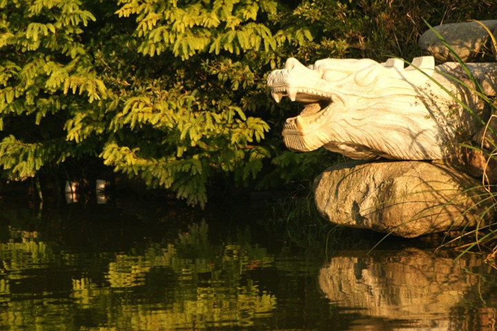 Water Garden