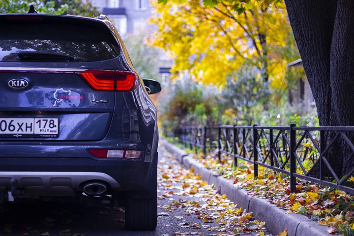 sportage at autumn