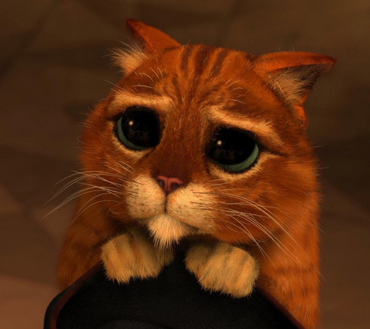 cutness
