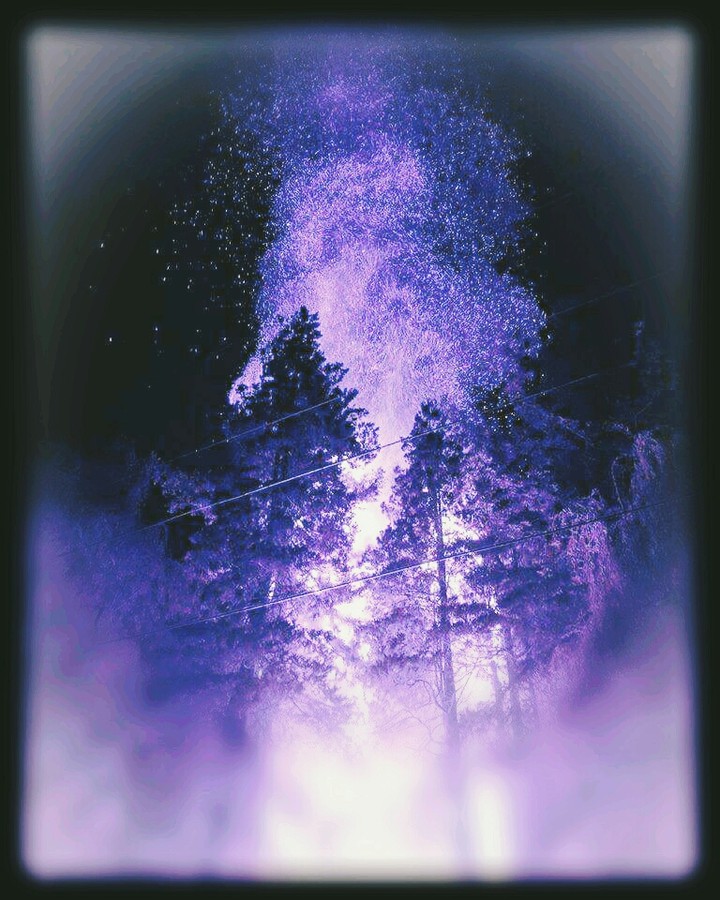 .let it burn.