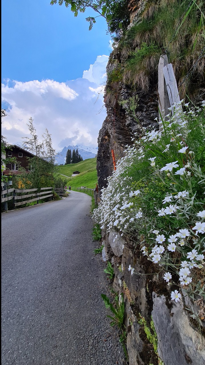 Mountain road