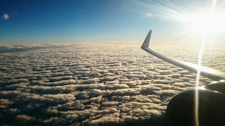 Volare
