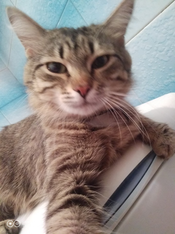 Sophie in a gentle mood