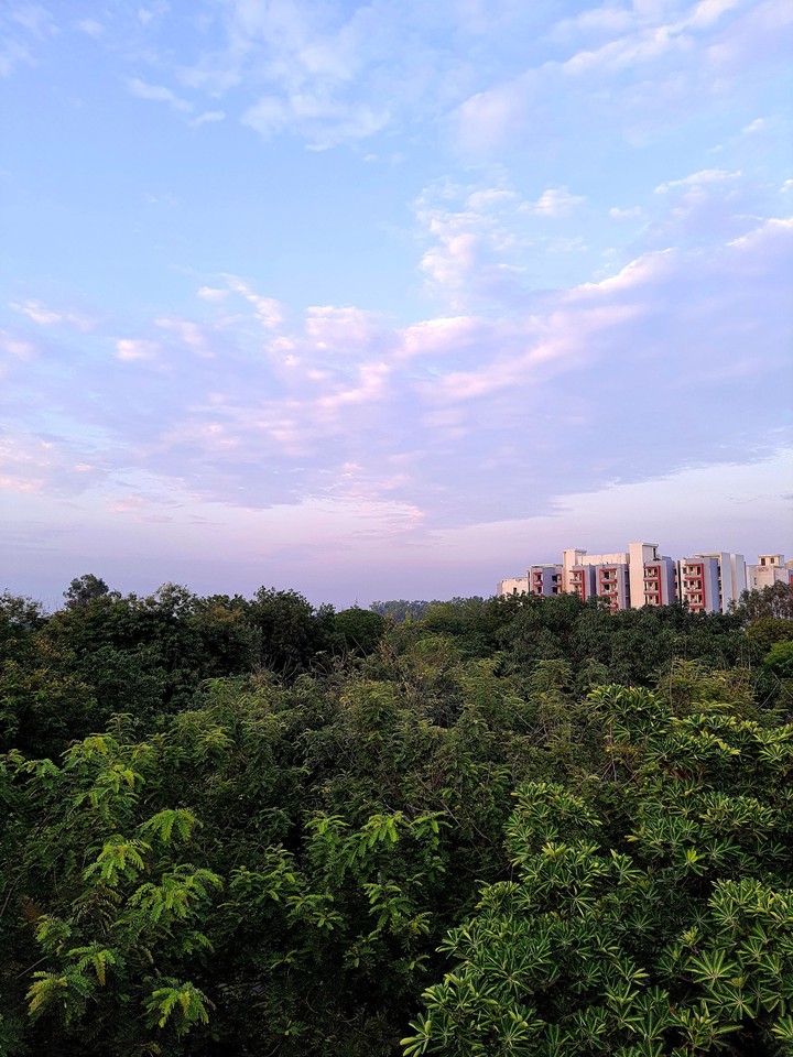 Good evening