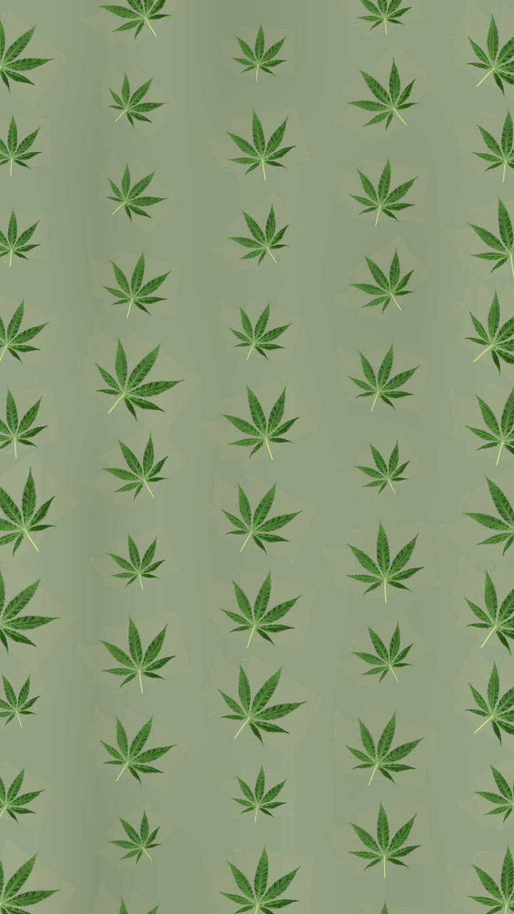 Marijuana Leaves Falling