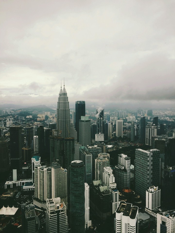 Concrete Jungle
