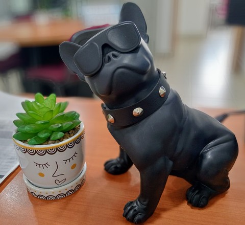 dog, toy háttérképek