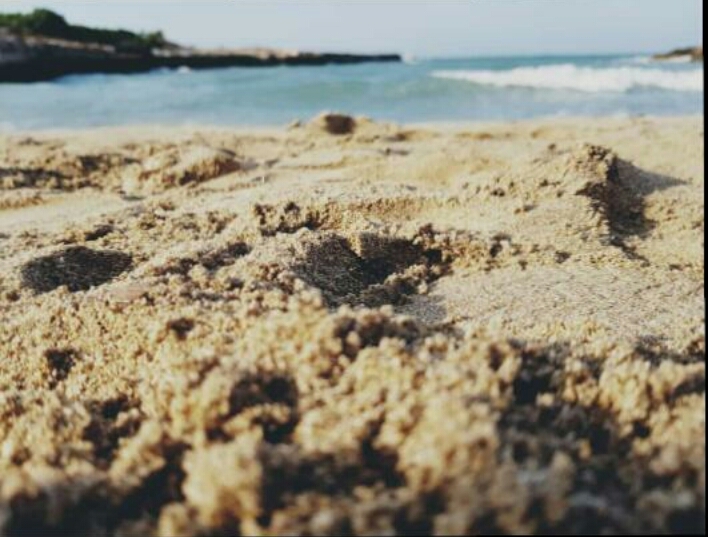 sea.....